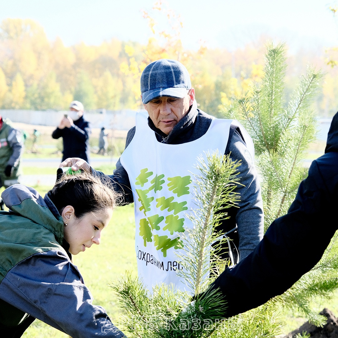 Президент Рустам Минниханов принял участие в ежегодной всероссийской акции по восстановлению лесов «Сохраним лес»