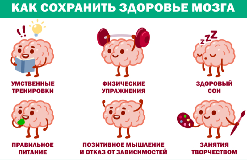 С 21 по 27 июля 2025 года в России проводится Неделя сохранения здоровья головного мозга