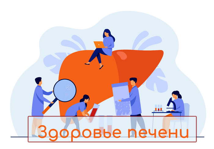 Профилактика заболеваний печени